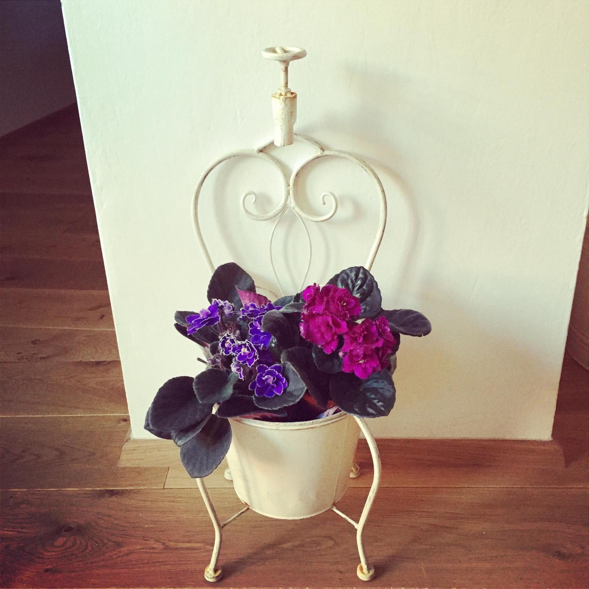 Old Town Boutique Apartments Praha Rom bilde