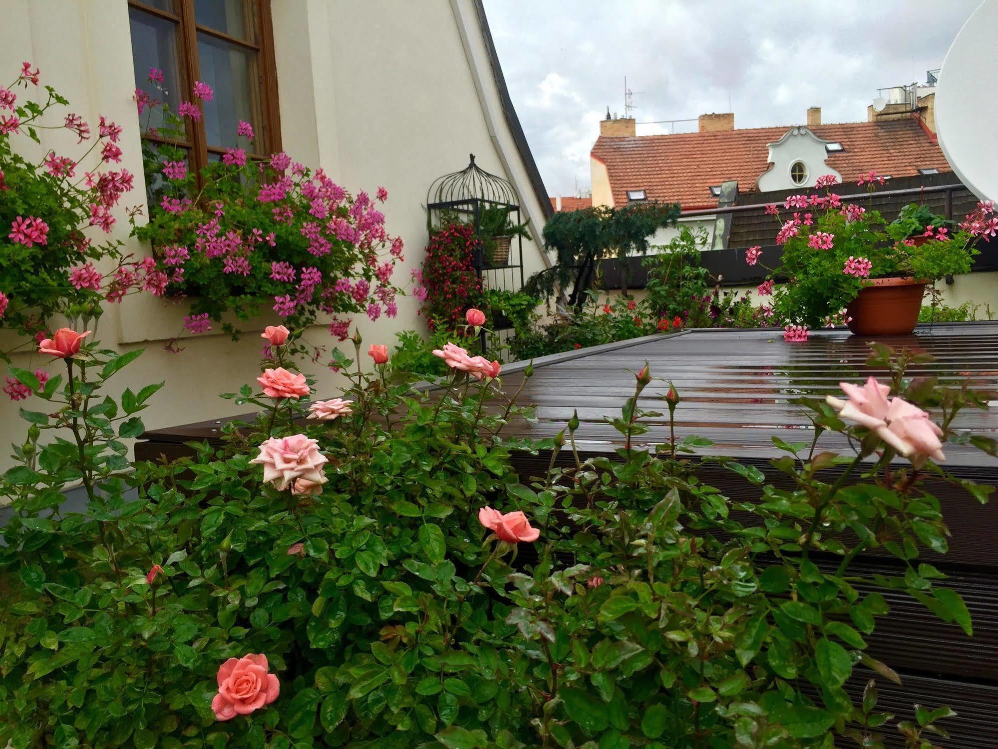 Old Town Boutique Apartments Praha Eksteriør bilde